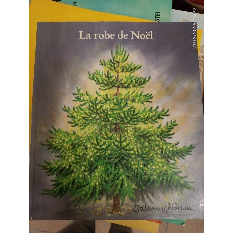 LA ROBE DE NOEL 