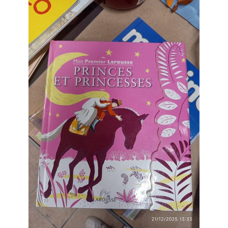 PRINCES ET PRINCESSES 