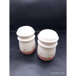 SALIèRE + POIVRIèRE EN...